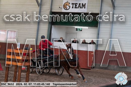Mintakép 20260207-1213