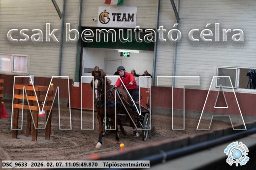 Mintakép 20260207-1214
