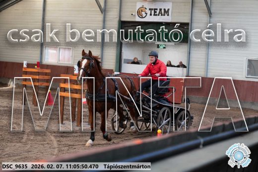 Mintakép 20260207-1216