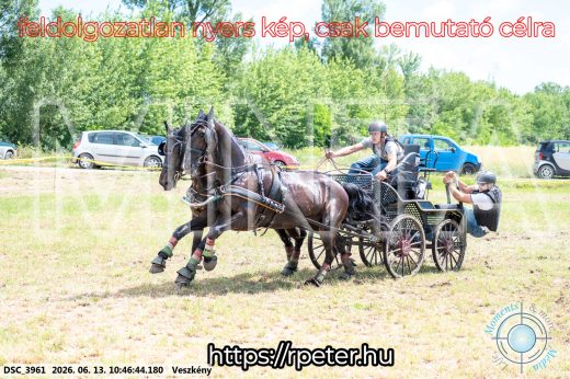 Mintakép 20260613-685