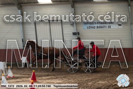 Mintakép 20260208-2080