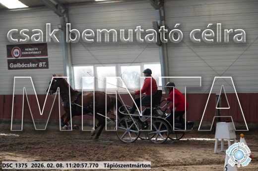 Mintakép 20260208-2082