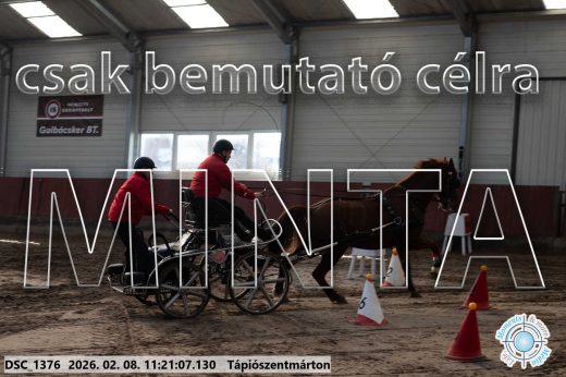 Mintakép 20260208-2083