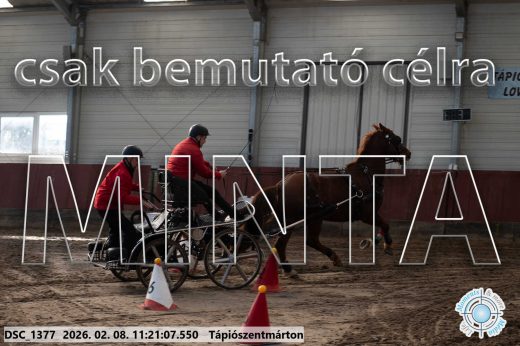 Mintakép 20260208-2084