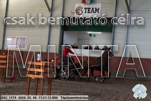 Mintakép 20260208-2086