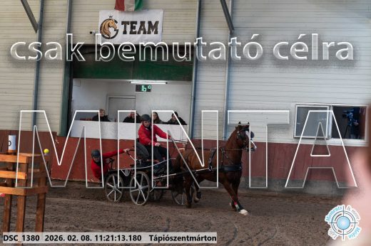 Mintakép 20260208-2087