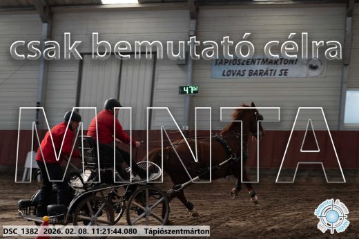 Mintakép 20260208-2088