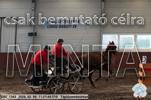Mintakép 20260208-2089