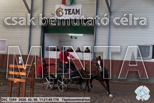 Mintakép 20260208-2090