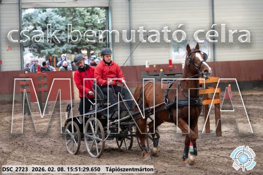 Mintakép 20260208-2095