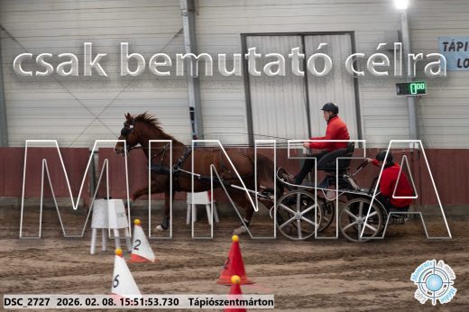 Mintakép 20260208-2099