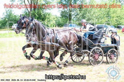 Mintakép 20260613-687
