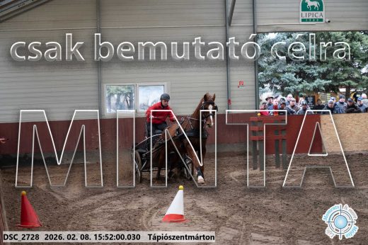 Mintakép 20260208-2100