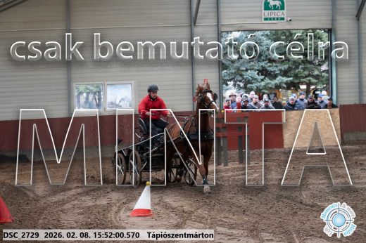 Mintakép 20260208-2101