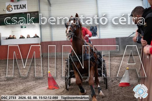 Mintakép 20260208-2104