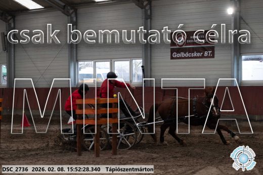 Mintakép 20260208-2106