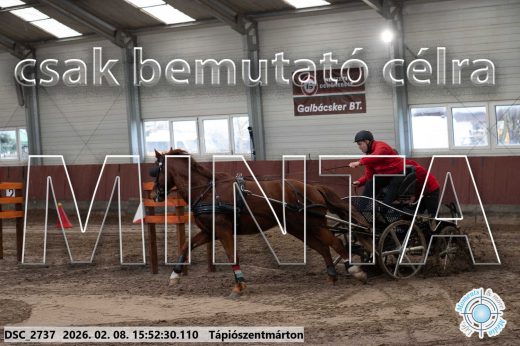 Mintakép 20260208-2107