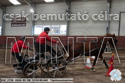 Mintakép 20260208-2108