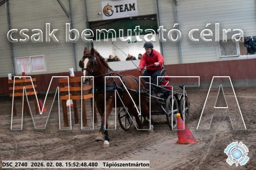 Mintakép 20260208-2110