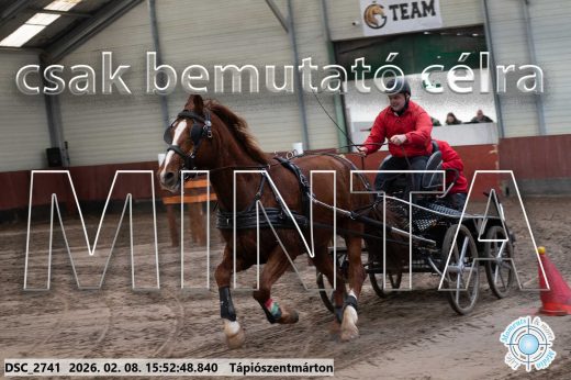 Mintakép 20260208-2111