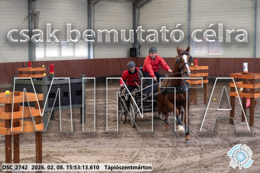 Mintakép 20260208-2112