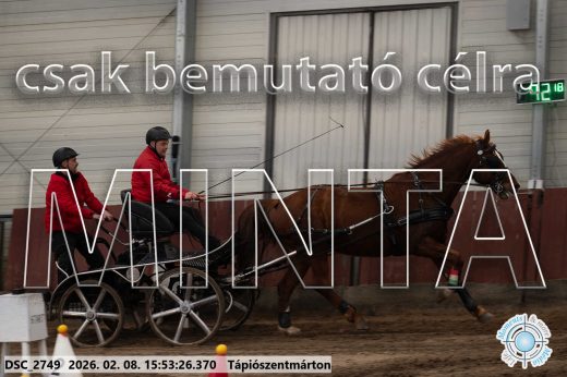 Mintakép 20260208-2116