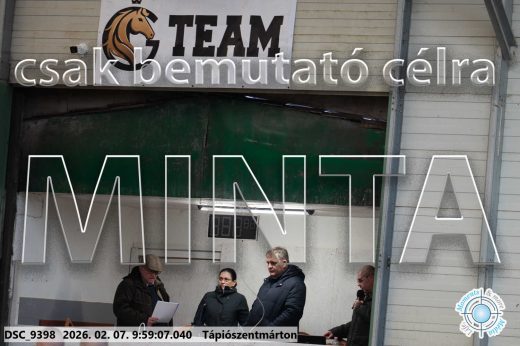 Mintakép 20260207-1223