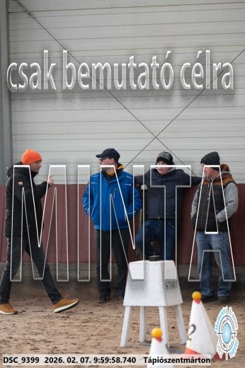 Mintakép 20260207-1224
