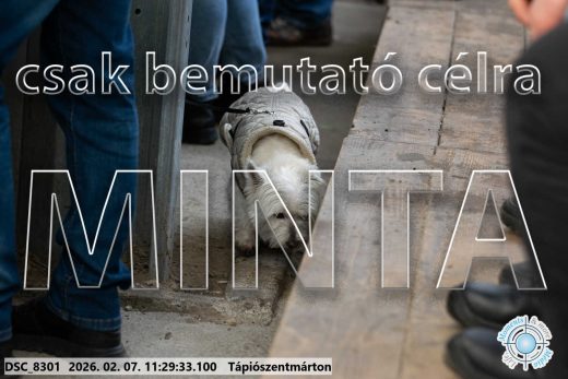 Mintakép 20260207-1228