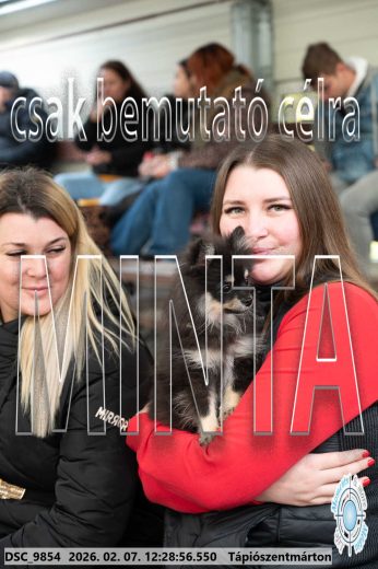 Mintakép 20260207-1230