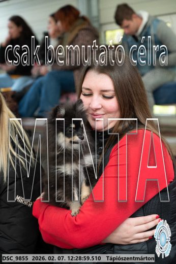 Mintakép 20260207-1231