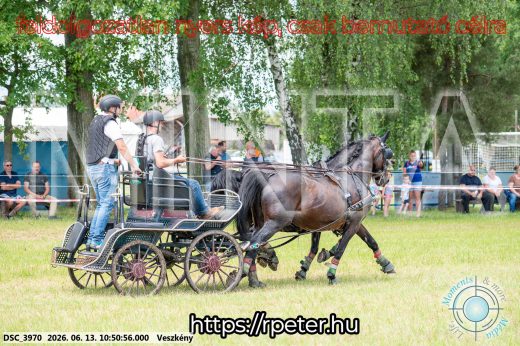 Mintakép 20260613-690