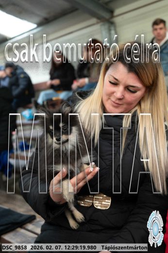 Mintakép 20260207-1234