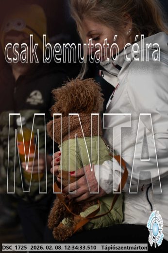 Mintakép 20260208-2117