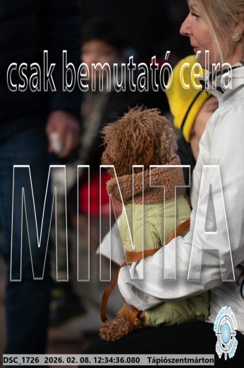 Mintakép 20260208-2118