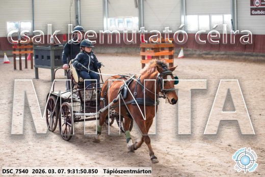 20260307-093150-DSC_7540.jpg