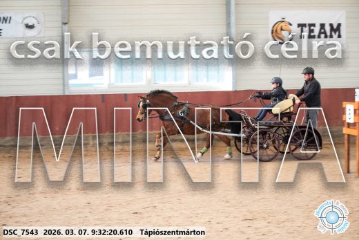 Mintakép 20260307-4