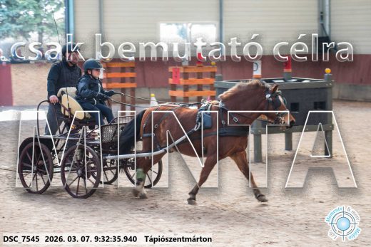 Mintakép 20260307-6
