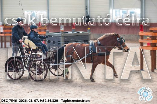 Mintakép 20260307-7