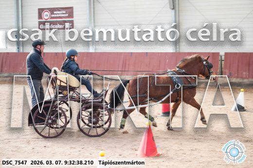 Mintakép 20260307-8