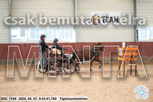 Mintakép 20260307-9