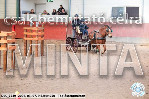 Mintakép 20260307-10