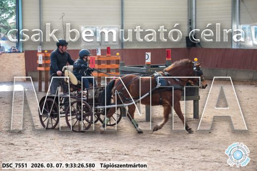 Mintakép 20260307-11