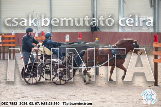 Mintakép 20260307-12