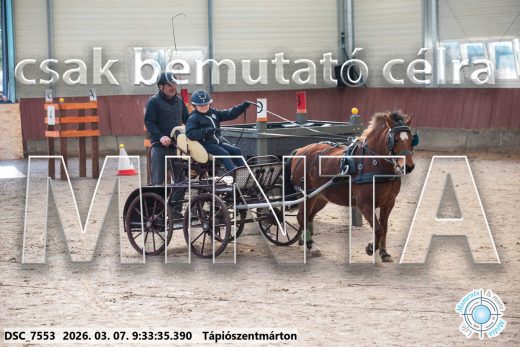 Mintakép 20260307-13