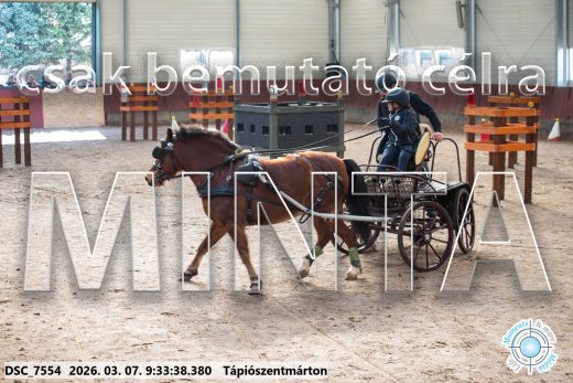 Mintakép 20260307-14