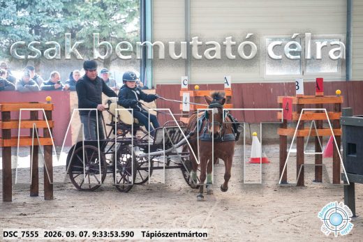 Mintakép 20260307-15