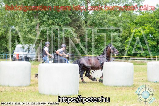 Mintakép 20260613-692