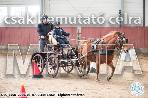 Mintakép 20260307-18