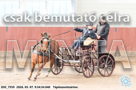 Mintakép 20260307-19